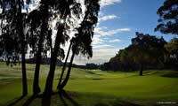 palheiro golf course